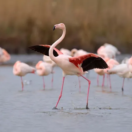 Le Serpent De Mer-8 By Interhome *